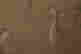 item-130742085=5