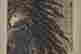 item-130742088=3