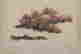 item-130742088=6