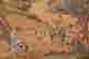 item-130742093=10