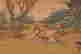 item-130742093=6