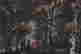 item-130742096=5