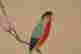 item-130742260=6