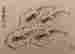 item-130742262=5