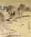 item-130742263=8