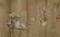 item-130742265=7