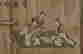 item-130742265=8