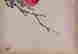 item-130742270=15