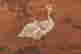 item-130742277=2