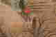 item-130742279=7