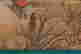 item-130742279=8