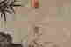 item-130742281=5