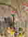 item-130742287=7