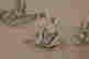 item-130742289=10