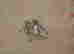 item-130742289=6