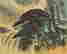 item-130742297=2
