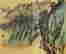 item-130742297=4