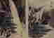 item-130742302=11
