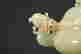 item-130742329=3