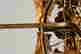 item-130742380=4