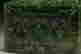 item-137099284=3