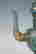 item-137099362=2