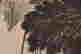 item-137099451=6