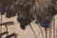 item-137099451=7