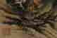 item-137099455=11