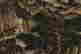 item-137099455=8