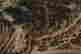 item-137099455=9