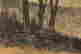 item-137099467=11