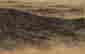 item-137099467=2