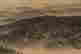 item-137099467=3