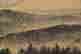 item-137099467=5