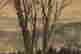item-137099467=8