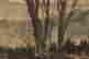 item-137099467=9