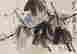 item-137099661=10
