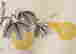 item-137099661=6