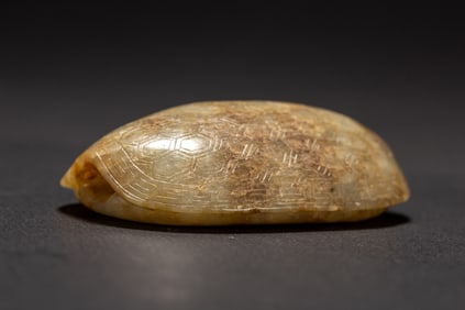 A CARVED JADE TORTOISE SHELL