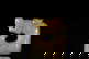 item-210082351=2