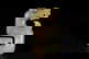 item-210082351=5