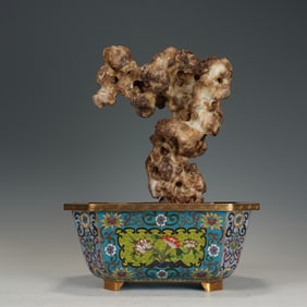 A LITERATI ROCK BONSAI