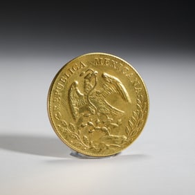 A SILVER-GILT COIN