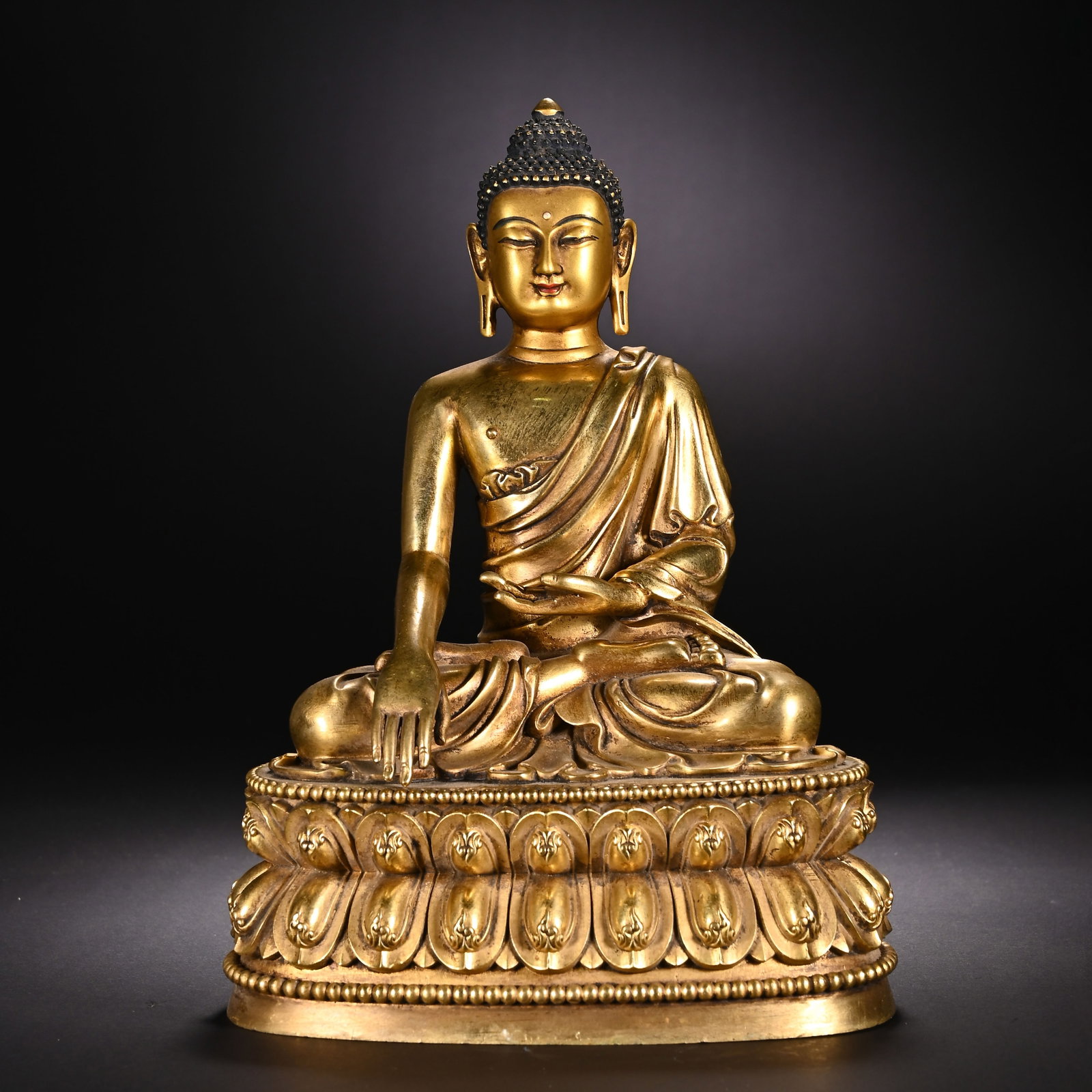 A CHINESE GILT BRONZE SHAKYAMUNI BUDDHA STATUE: A CHINESE GILT BRONZE SHAKYAMUNI BUDDHA STATUE This fully gilded bronze Shakyamuni Buddha sits in full lotus meditation atop a double-tiered lotus pedestal framed by fine beaded borders. His right han