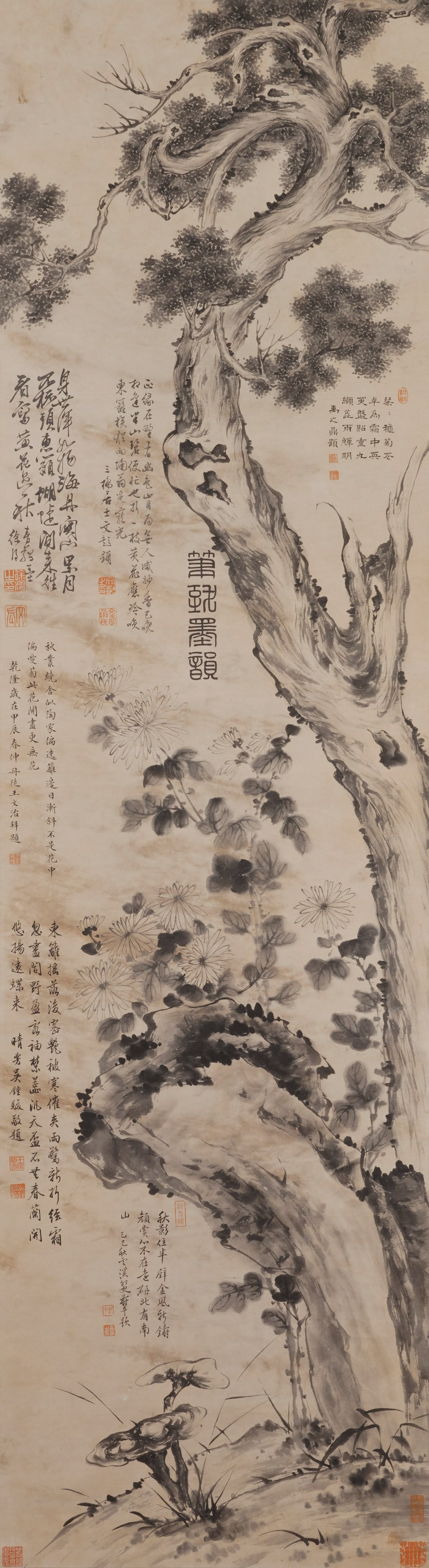 A CHINESE PAINTING OF ANCIENT PINE, SIGNED XU WEI: A CHINESE PAINTING OF ANCIENT PINE, SIGNED XU WEI Vertical ink painting on aged rice paper, attributed and signed Xu Wei, adorned with numerous collector's red seals and multi-column poetic colophons 