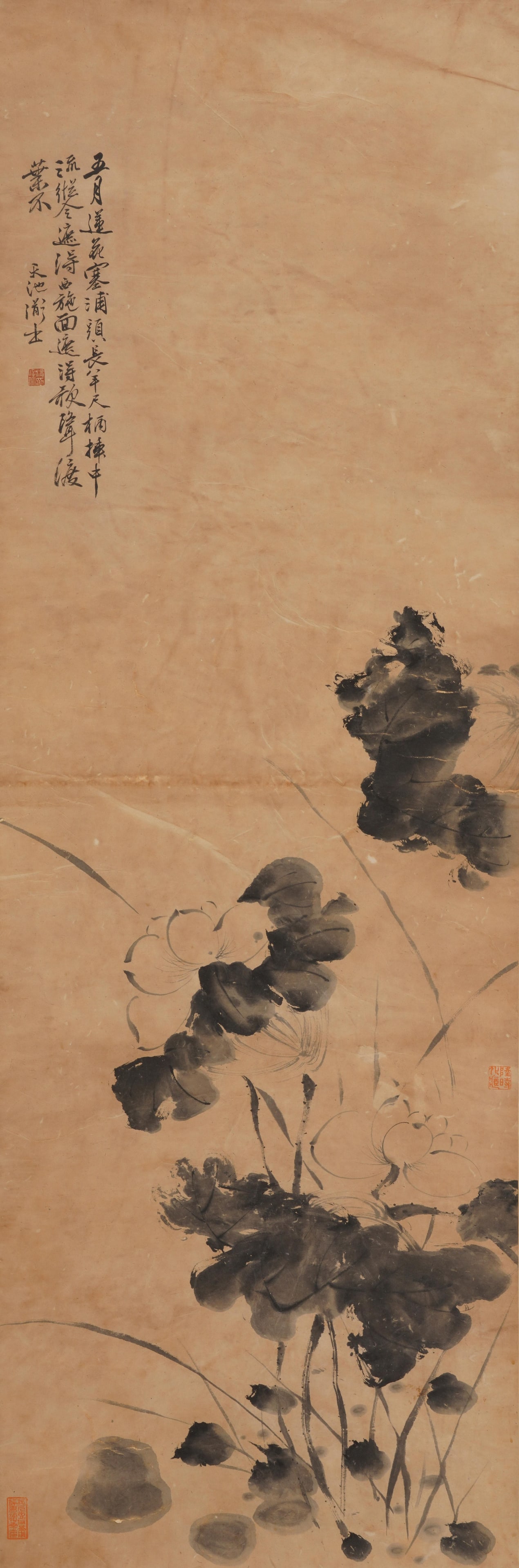 A CHINESE PAINTING OF INK LOTUS, SIGNED XU WEI: A CHINESE PAINTING OF INK LOTUS, SIGNED XU WEI Vertical monochrome ink painting on aged warm rice paper, inscribed, signed and sealed by Xu Wei in the upper left. The unrestrained composition depicts 