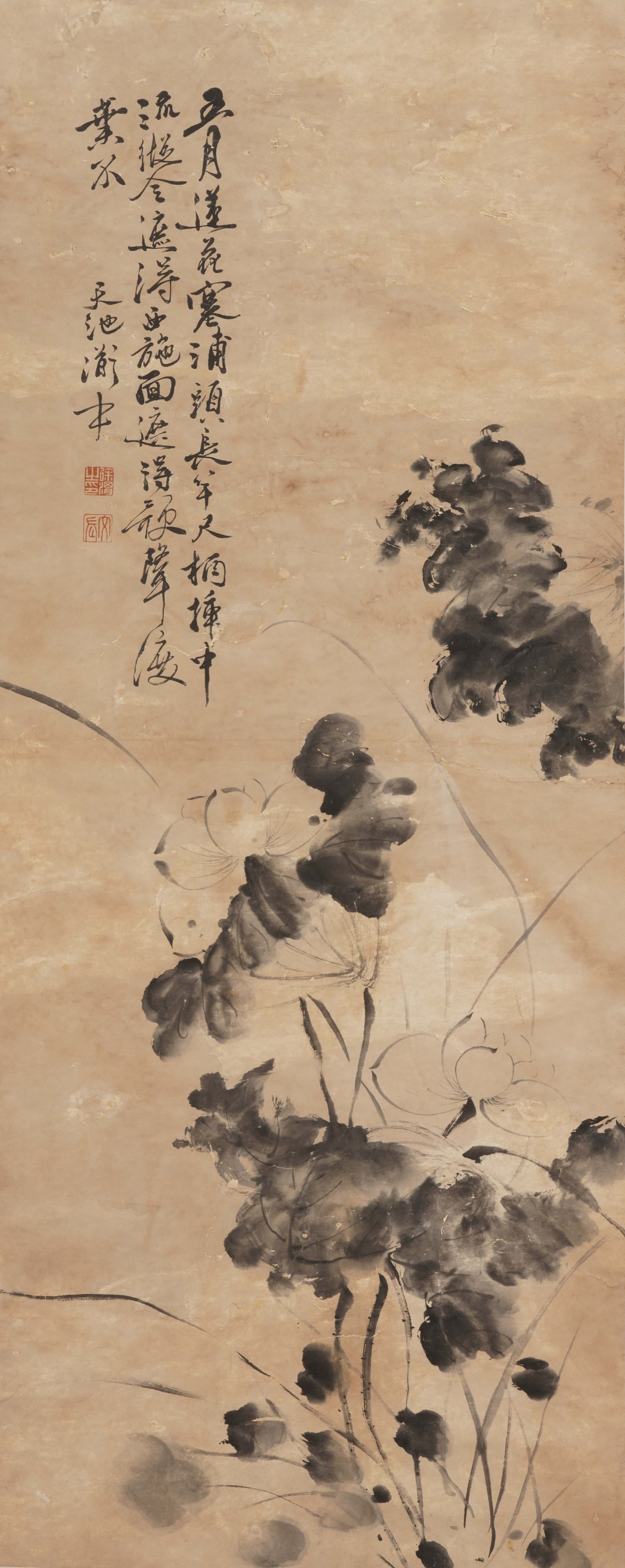 A CHINESE PAINTING OF INK LOTUS, SIGNED XU WEI: A CHINESE PAINTING OF INK LOTUS, SIGNED XU WEI Vertical monochrome ink painting on aged warm rice paper, inscribed, signed and sealed by Xu Wei in the upper left. The unrestrained composition depicts 