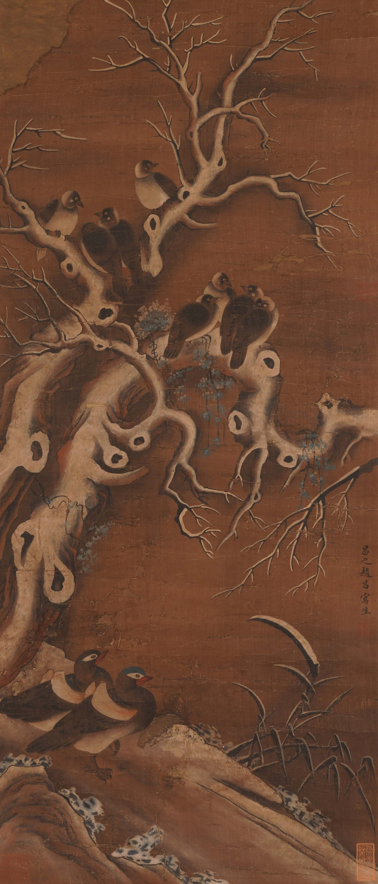 A CHINESE PAINTING OF BIRDS AND MANDARIN DUCKS, SIGNED ZHAO CHANG: A CHINESE PAINTING OF BIRDS AND MANDARIN DUCKS, SIGNED ZHAO CHANG Vertical ink and colour painting on aged amber silk, signed and sealed by Zhao Chang at the right edge. The artwork features a gnarled