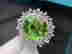 item-128632084=2